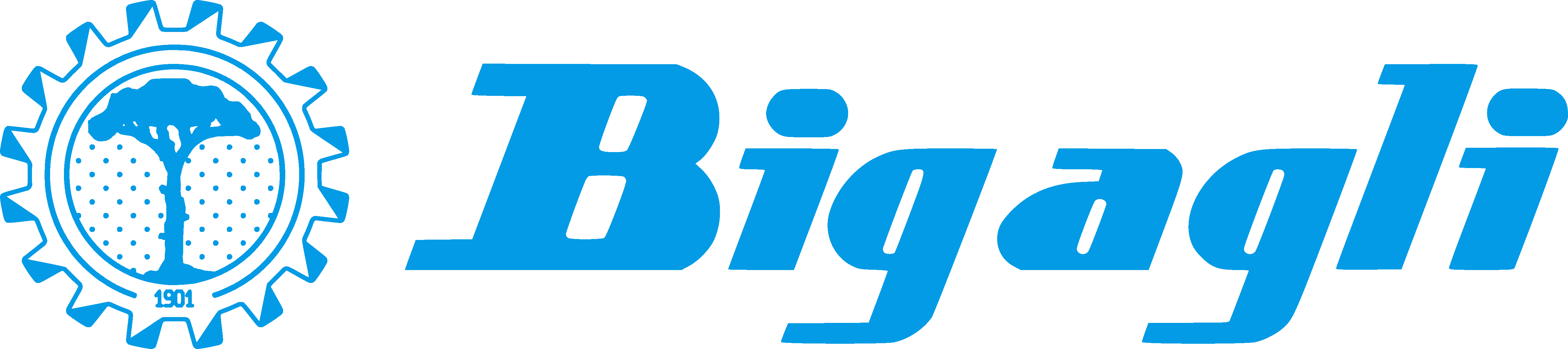 BIGAGLI